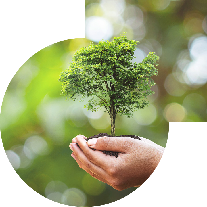 關懷人類、文化、環境與社會